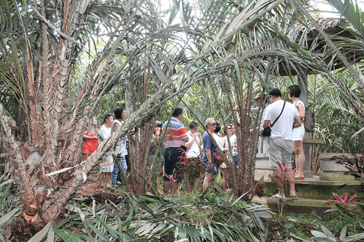 Salak Agro Jeep Sunrise Experience